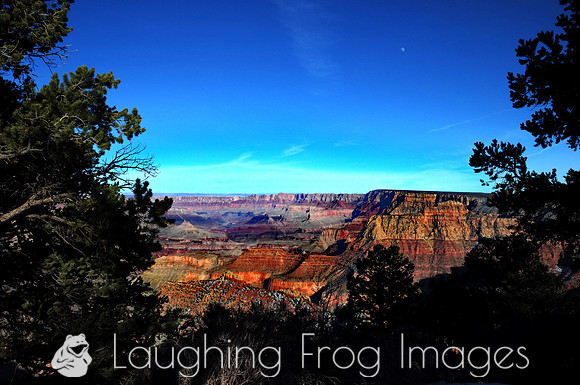 Grand Canyon N.P. 24