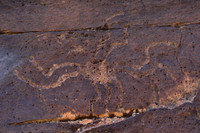 Photographs of petroglyphs in Rock Art Canyon on Rock Art Ranch in St. Joseph, AZ.  The canyon was formed by Chevelon Creek.  The petroglyphs date back thousands of years.