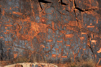 Photographs of petroglyphs in Rock Art Canyon on Rock Art Ranch in St. Joseph, AZ.  The canyon was formed by Chevelon Creek.  The petroglyphs date back thousands of years.