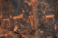 Photographs of petroglyphs in Rock Art Canyon on Rock Art Ranch in St. Joseph, AZ.  The canyon was formed by Chevelon Creek.  The petroglyphs date back thousands of years.