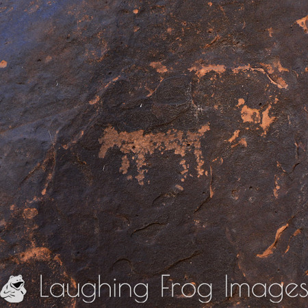 Photographs of petroglyphs in Rock Art Canyon on Rock Art Ranch in St. Joseph, AZ.  The canyon was formed by Chevelon Creek.  The petroglyphs date back thousands of years.