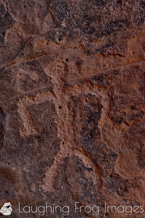 Photographs of petroglyphs in Rock Art Canyon on Rock Art Ranch in St. Joseph, AZ.  The canyon was formed by Chevelon Creek.  The petroglyphs date back thousands of years.