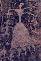 Photographs of petroglyphs in Rock Art Canyon on Rock Art Ranch in St. Joseph, AZ.  The canyon was formed by Chevelon Creek.  The petroglyphs date back thousands of years.