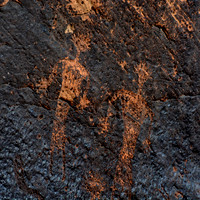 Photographs of petroglyphs in Rock Art Canyon on Rock Art Ranch in St. Joseph, AZ.  The canyon was formed by Chevelon Creek.  The petroglyphs date back thousands of years.