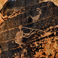 Photographs of petroglyphs in Rock Art Canyon on Rock Art Ranch in St. Joseph, AZ.  The canyon was formed by Chevelon Creek.  The petroglyphs date back thousands of years.