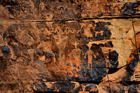 Photographs of petroglyphs in Rock Art Canyon on Rock Art Ranch in St. Joseph, AZ.  The canyon was formed by Chevelon Creek.  The petroglyphs date back thousands of years.
