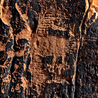 Photographs of petroglyphs in Rock Art Canyon on Rock Art Ranch in St. Joseph, AZ.  The canyon was formed by Chevelon Creek.  The petroglyphs date back thousands of years.