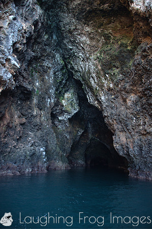 Sea Cave.  Channels Islands CA 2