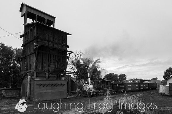 DRGW 315 Night Photo Session, C&TSRR Yard, Chama NM.  August 201