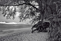 Power versus Persistence - 2. Ke'e State Beach, Kauai, HI