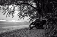 Power versus Persistence - 1. Ke'e State Beach, Kauai, HI