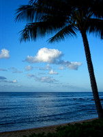Po'ipu, Kauai, HI 6