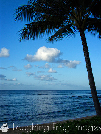 Po'ipu, Kauai, HI 6