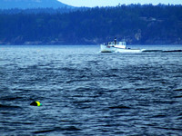 Lobster Boat off of Mt. Desert Island ME