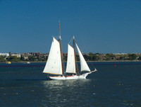 Sailboat, New York City