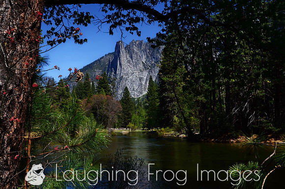 Merced River 6