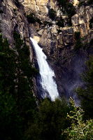 Yosemite N.P.