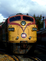 Conway Scenic 6516