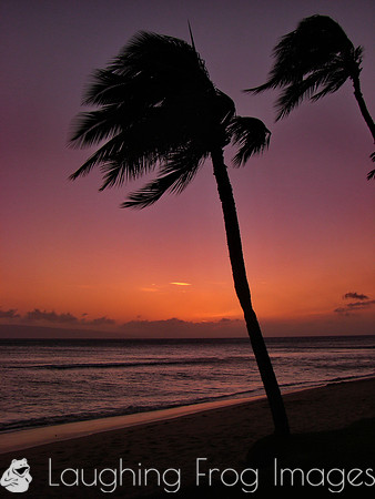 sunsets