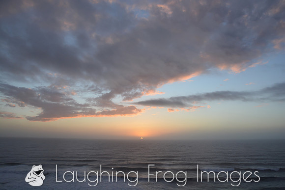 Heceta Head, OR - 2