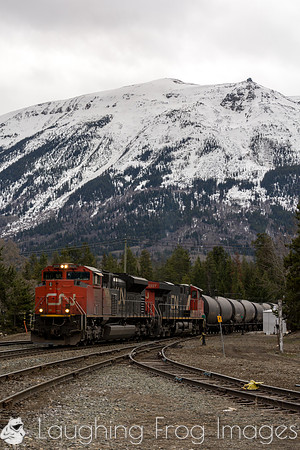 CN 8020 East, Jasper AB. 4/2016