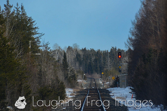 CN, MacDuff ON.  Looking east from VIA #1. 4/2016