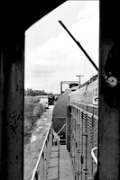 PH&D 1984, B&W 12