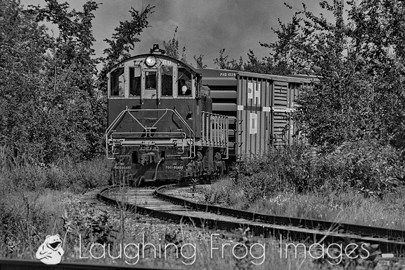 PH&D 1984, B&W 44