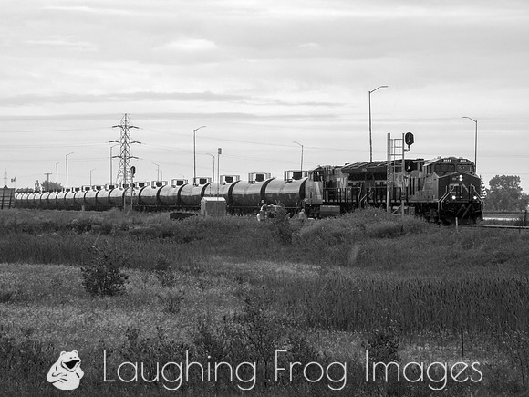CN 3033 - 3051 East, Springfield MB. 8/2017