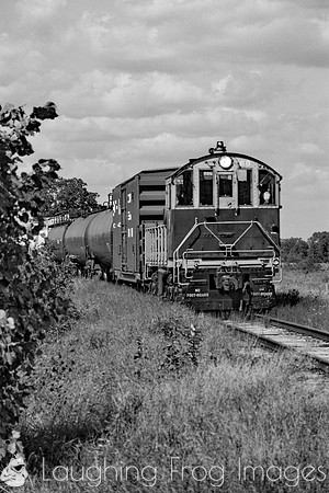 PH&D 1984, B&W 49