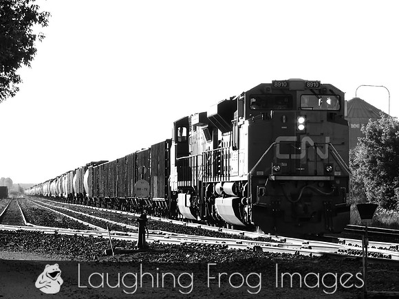 CN 8910 East, Dauphin MB.  8/2017